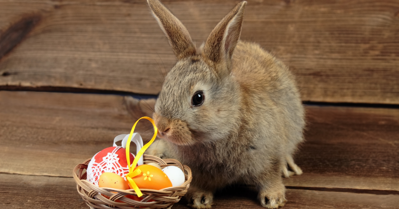 A Guide to Easter Jewelry